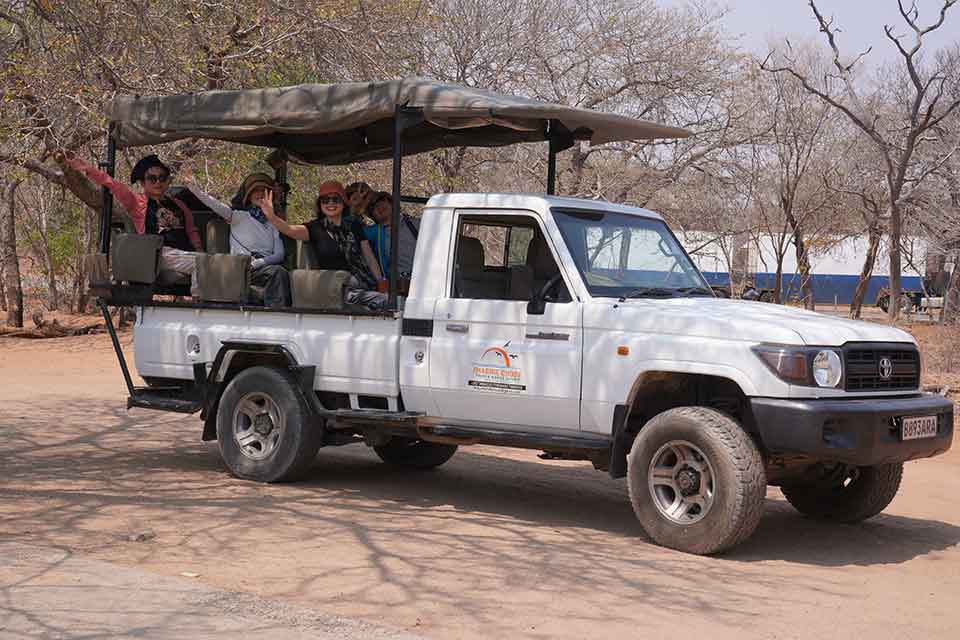 Imagine Chobe Safari Truck