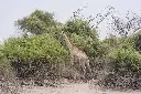 DSC08340.webp